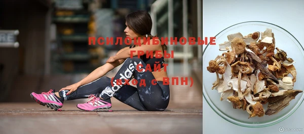стаф Алексеевка