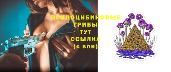 стаф Алексеевка