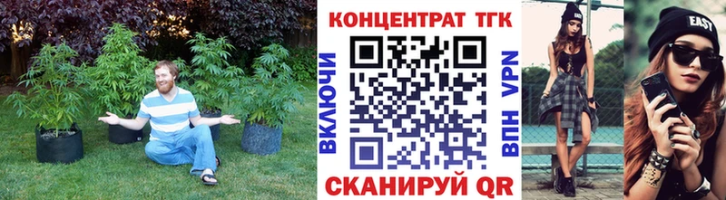 Дистиллят ТГК Wax  Купить закладки  Талица 