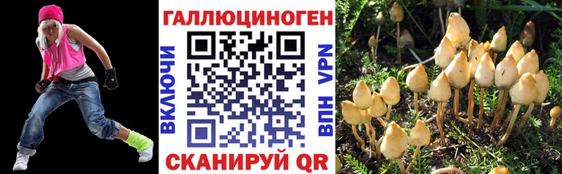 Купить где  Талица  Галлюциногенные грибы Cubensis 