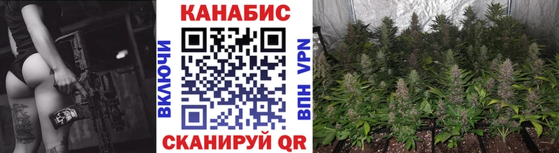 Бошки марихуана AK-47  Купить где  Талица 